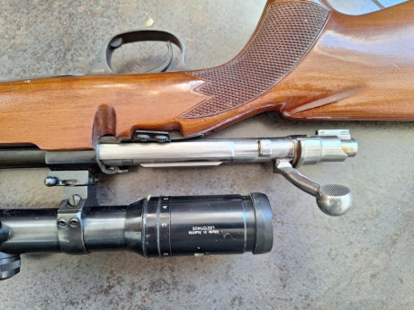 Buenas tardes estoy buscando para comprar mi  primer rifle para iniciación . 60