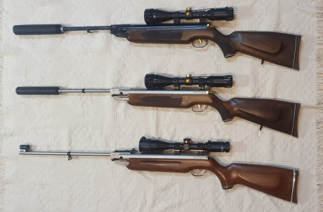 Las tres son magníficas. Un abrazo compañeros !!! Se vé que no me gustan las 35 !!. La porculera del tapón 00