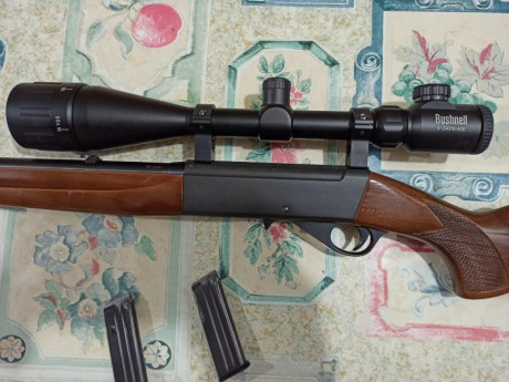 Buenos dias, se vende carabina marca anchuzt calibre 22 modelo 520,con dos cargadores con visor marca 02