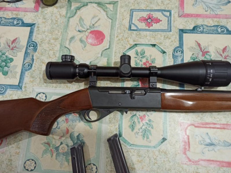 Buenos dias, se vende carabina marca anchuzt calibre 22 modelo 520,con dos cargadores con visor marca 01