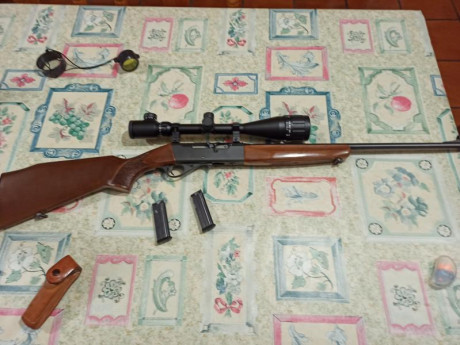 Buenos dias, se vende carabina marca anchuzt calibre 22 modelo 520,con dos cargadores con visor marca 00