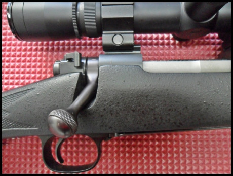 WINCHESTER COYOTE 22-250 W. CERROJO PRE 64 CAÑON DE 61 cm  MUY POCAS UNIDADES EN ESPAÑA
culata BELL  & 22