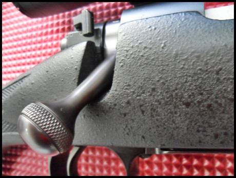 WINCHESTER COYOTE 22-250 W. CERROJO PRE 64 CAÑON DE 61 cm  MUY POCAS UNIDADES EN ESPAÑA
culata BELL  & 21
