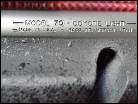 WINCHESTER COYOTE 22-250 W. CERROJO PRE 64 CAÑON DE 61 cm  MUY POCAS UNIDADES EN ESPAÑA
culata BELL  & 20