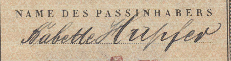  EN RECUERDO Y HOMENAJE A LOS QUE YA NO ESTÁN. 

Si pones en  GOOGLE    PASAPORTES EN LA MEMORIA   da 42