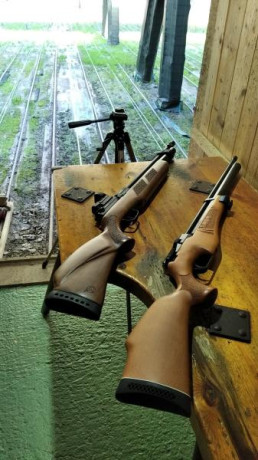 Bueno, para animar el foro un poco, propongo colgar fotos de dianas y arma usada para ello, pudiendo ser 150