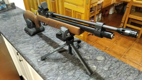 Bueno, para animar el foro un poco, propongo colgar fotos de dianas y arma usada para ello, pudiendo ser 160