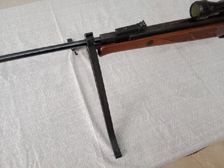  norica2.jpeg  norica 1.jpeg 
pongo a la venta parte de mi coleccion, lo que se vende es lo que hay en 22