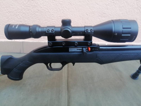 Hola a todos,

Busco carabina del 22LR máximo que cueste 300 euros y preferiblemente en Madrid.

Saludos, 41