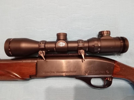 Vendo rifle Remington 750 en calibre 35 whelen con dos cargadores y carril weaver. El precio 550 euros 01