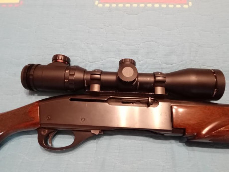 Vendo rifle Remington 750 en calibre 35 whelen con dos cargadores y carril weaver. El precio 550 euros 00
