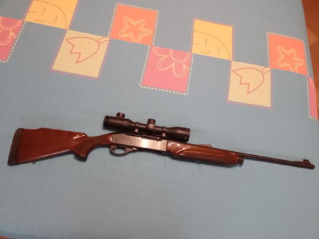 Vendo rifle Remington 750 en calibre 35 whelen con dos cargadores y carril weaver. El precio 550 euros 51