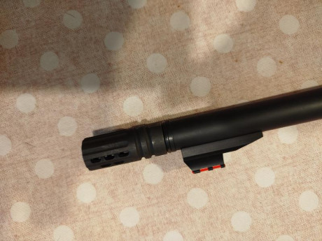 Se vende rifle Mossberg Patrol 300 BLK, con cargador para 10 cartuchos, le sirven todos los cargadores 20