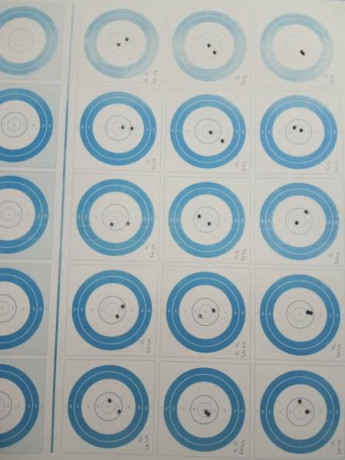 Buenas tardes.

En todos los campeonatos de Fclass rimfire que se celebran, se compite en dos modalidades; 120