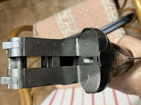 Buenas, un amigo vende esta escopeta, cañones a 66 cm con 2 y 3 décimas, muy buen estado y maderas originales 31