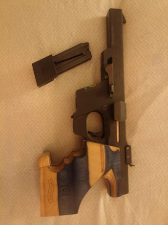 Vendo mi walther GSP 32.

Tiene marcas en el armazón. Sobre todo en la parte delantera por uso de los 00