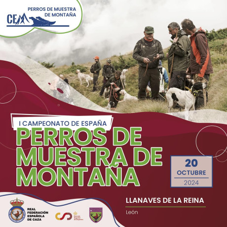 En León, Llanaves de la Reina 01