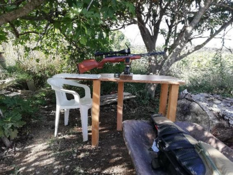 Bueno, para animar el foro un poco, propongo colgar fotos de dianas y arma usada para ello, pudiendo ser 21