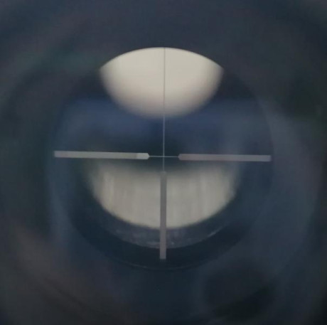 Otro cacharro que me ha salido por un rincón:
Visor Bausch & Lomb (Bushnell para los colegas) 
Elite 150