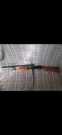 Se vende escopeta mosberg 410 corredera
Cañón 24 pulgadas
Recamara 2 pulgadas y medio
Full choke
Solo 02