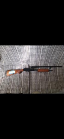 Se vende escopeta mosberg 410 corredera
Cañón 24 pulgadas
Recamara 2 pulgadas y medio
Full choke
Solo 01