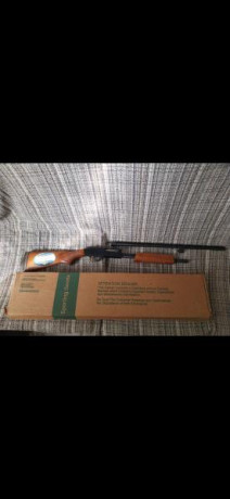 Se vende escopeta mosberg 410 corredera
Cañón 24 pulgadas
Recamara 2 pulgadas y medio
Full choke
Solo 00