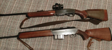 Hola a todos, Pongo en venta dos rifles en perfecto estado de tiro. Uno un Remington 742 y el otro un 01
