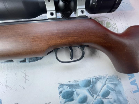 Vendo esta acción completa de Hw50M , está trasteada hasta la saciedad , si no se vende la desmontaré 02