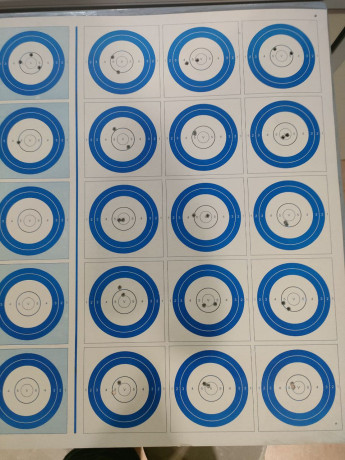 Buenas tardes.

En todos los campeonatos de Fclass rimfire que se celebran, se compite en dos modalidades; 40