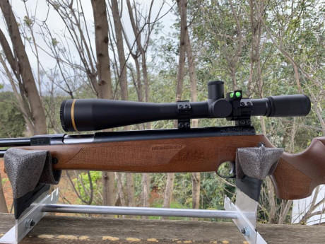 Buenos días compañeros .
Aquí dejo la chica HW 50 cal.4,5 . 7 julios.

Una de las mejores de weihrauch. 161