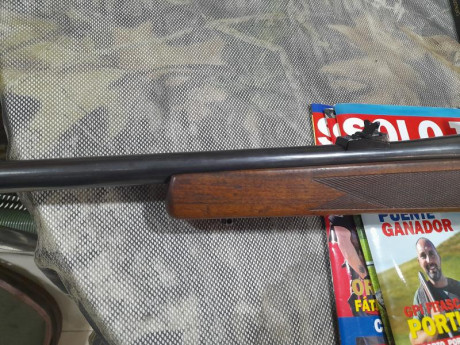 Perfecto estado, calibre impresionante,monturas completas TALLEY desmontables. Se cambia por rifle de 02