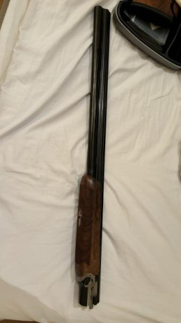 Hola amigos!

Se vende escopeta Beretta 694 Trap, en excelente estado, con maletín y accesorios originales.

La 12