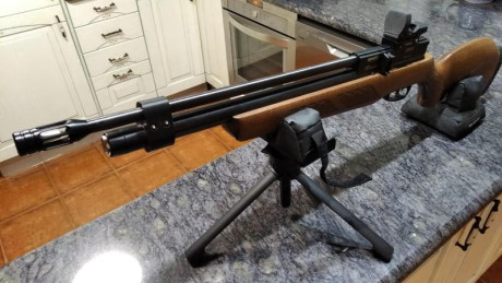 Pues lo dicho. Hasta hace no muchos meses desconocía por completo las armas pcp. Soy de las de muelle 90