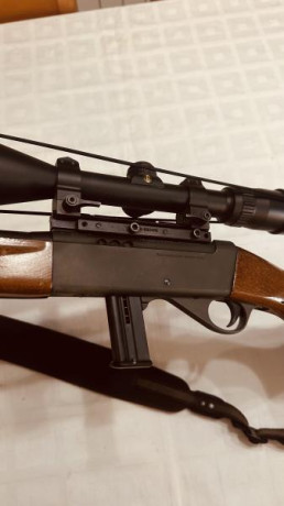Hola a todos, vendo carabina semiautomática Anschutz 22lr modelo 525.La carabina esta bien cuidada y con 00