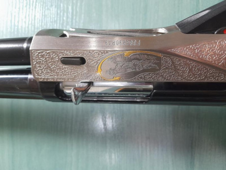 Escopeta de exposición, usada en dos ocasiones,probando nuevos cartuchos , se cambia por rifle de mi interés 00