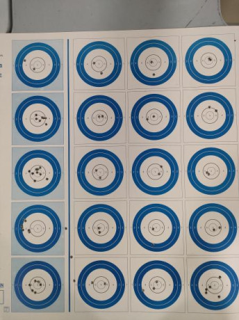 Buenas tardes.

En todos los campeonatos de Fclass rimfire que se celebran, se compite en dos modalidades; 91