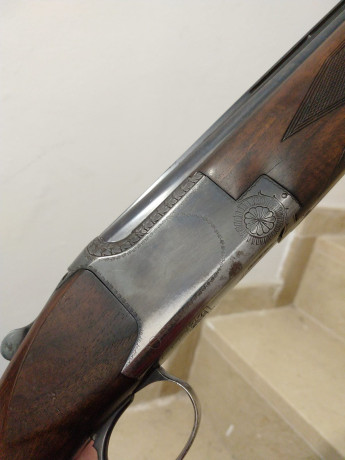 Browning B25 Game Gun con 4* y 2*. Culata inglesa.
Mas info al 659049875 11