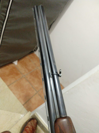 Browning B25 Game Gun con 4* y 2*. Culata inglesa.
Mas info al 659049875 22