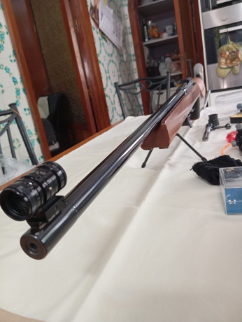   Vendo carabina Anchutz Mach 54 Modelo 1408 Serie X 
Cerrojo y Disparador moderno
Tiene una agrupación 00