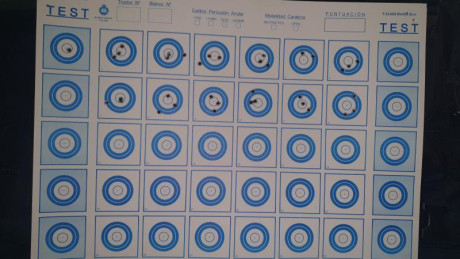 Buenas tardes.

En todos los campeonatos de Fclass rimfire que se celebran, se compite en dos modalidades; 100