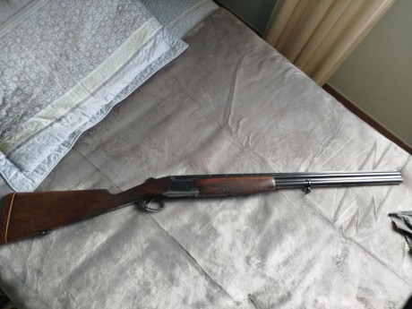 Browning B25 Game Gun con 4* y 2*. Culata inglesa.
Mas info al 659049875 50