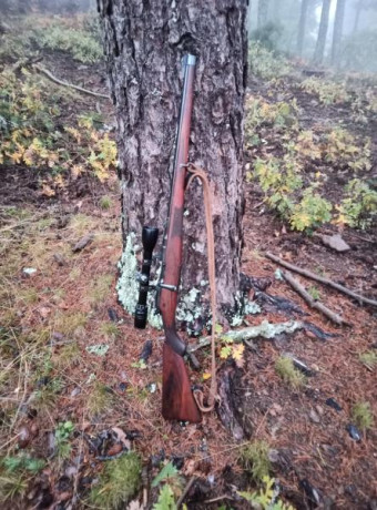 Mannlicher Schoenauer 

Queridos amigos, vamos a hacer un censo de estos magníficos rifles, con fotos 50