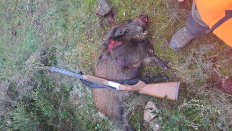Pues como no he visto por ai ningun hilo pues lo empiezo yo el mio un verney carron 8x57 jrs lo compre 20