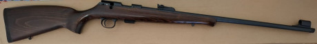 Hola amigos, estoy leyendo mucho pero por separado de nuestras queridas CZ | Brno del .22LR. Se podría 170