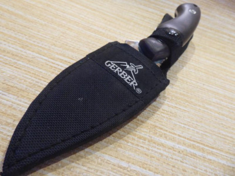 Hola, pongo a la venta varias piezas de mi colección, portes aparte

Muela Colibrí mango de madera   (vendido) 140