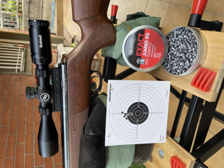Para mi, no tengo standard de precision, mas bien de rifle a rifle, por ejemplo con mi hw97 a 50 metros 110