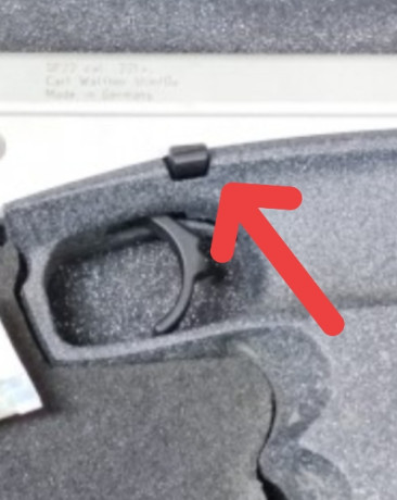 Hola. 
Recientemente he recibido mi licencia F y he adquirido a un compañero del club una walther sp22 00