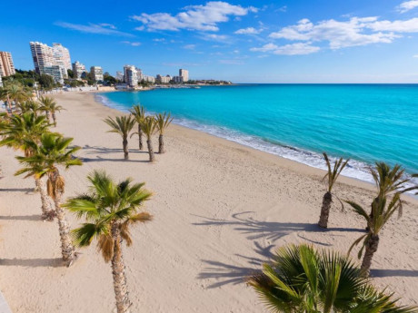 Hola a todos!

Me presento desde Alicante. Llevo mas de un año leyéndoos y aprendiendo porque quiero iniciarme 20