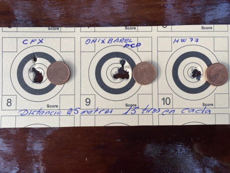 Para mi, no tengo standard de precision, mas bien de rifle a rifle, por ejemplo con mi hw97 a 50 metros 170
