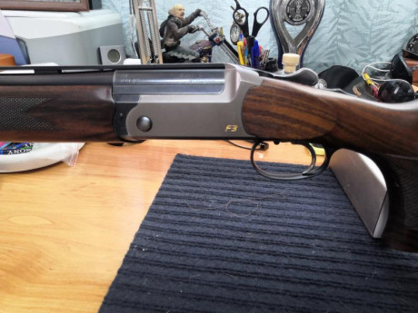 Buenas , se vende Blaser F3 de 76cm de cañón , con 5 chokes originales Blaser mas 4 choques Briley Spectrum 12